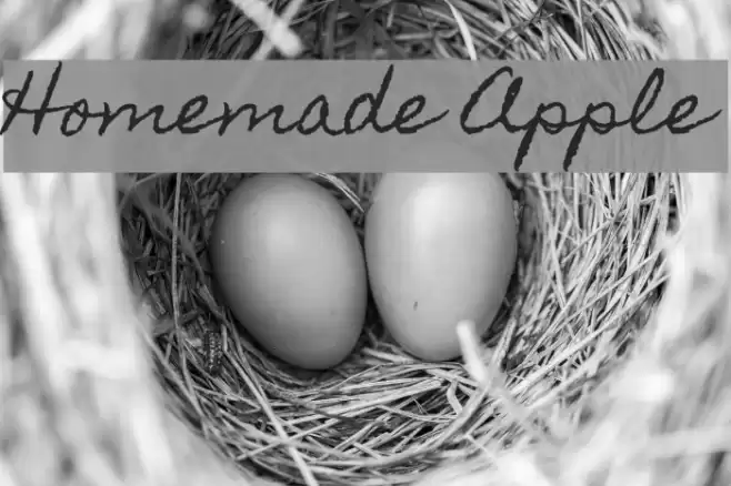 Homemade Apple Font examples