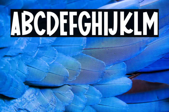 Homemade Donuts Example 1