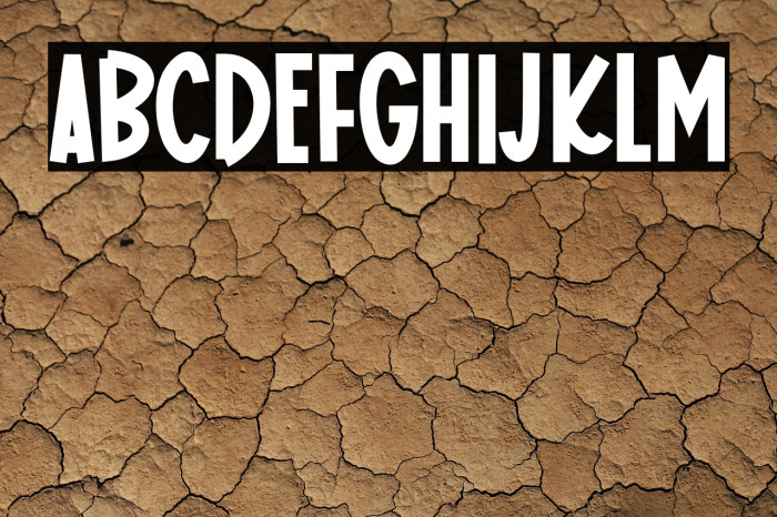 Homemade Donuts Example 2