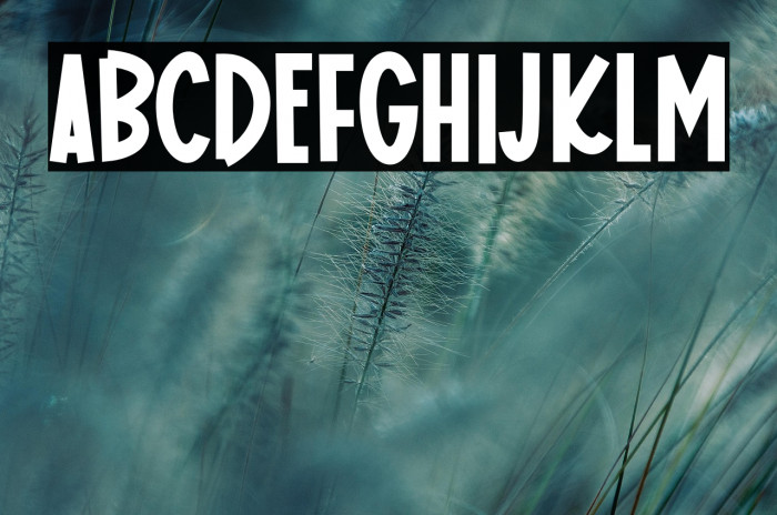 Homemade Donuts Example 3