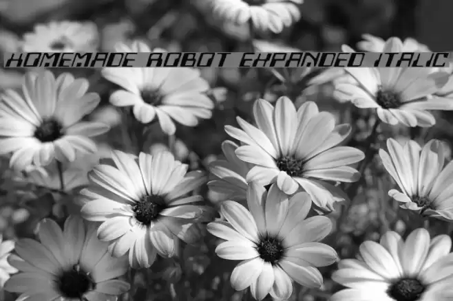 Homemade Robot Expanded Italic Font examples