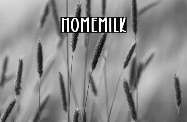 Homemilk Schriftart examples