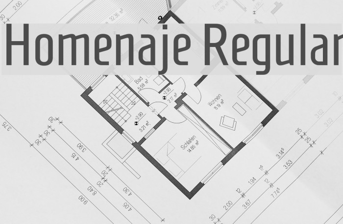 Homenaje Regular Font examples
