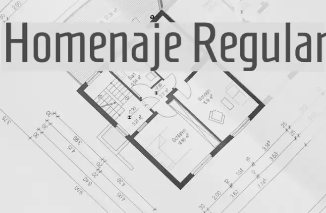 Homenaje Regular Font examples