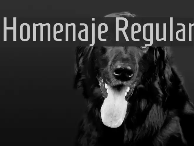 Homenaje Regular Font examples