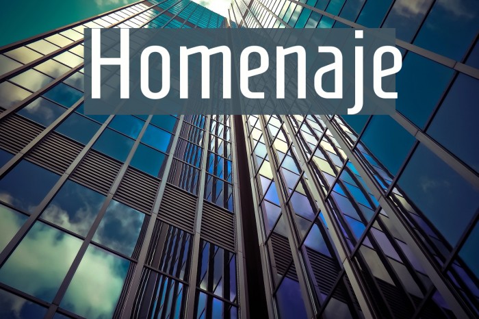 Homenaje Font examples