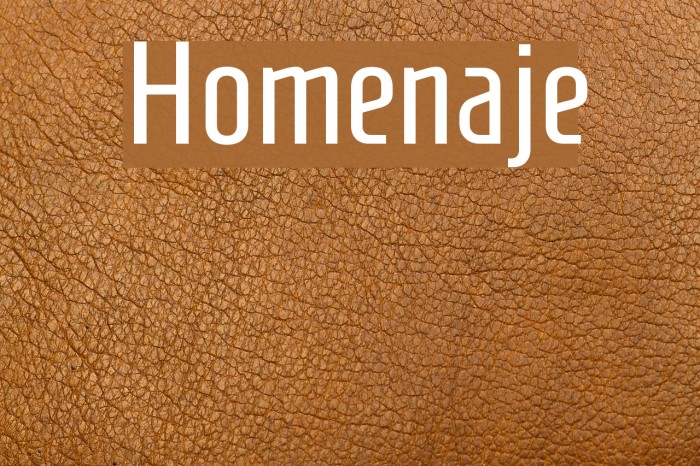 Homenaje Font examples