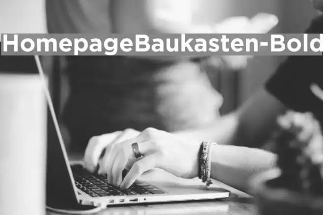 HomepageBaukasten-Bold Font examples