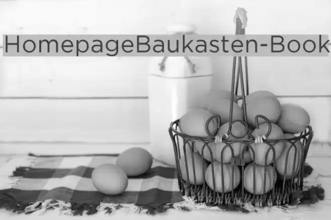 HomepageBaukasten-Book Font examples