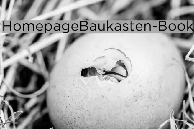 HomepageBaukasten-Book Font examples