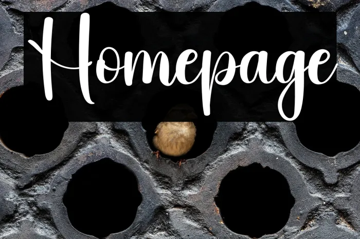 Homepage Example 2