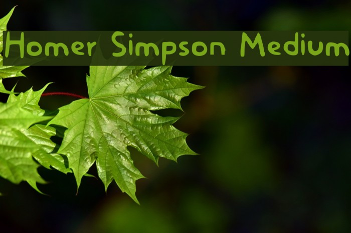 Homer Simpson Medium Font examples