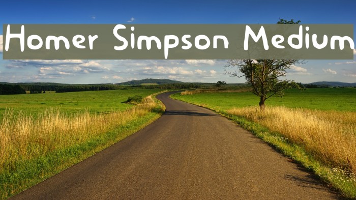 Homer Simpson Medium Font examples