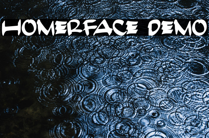 HomerFace Demo Example 1