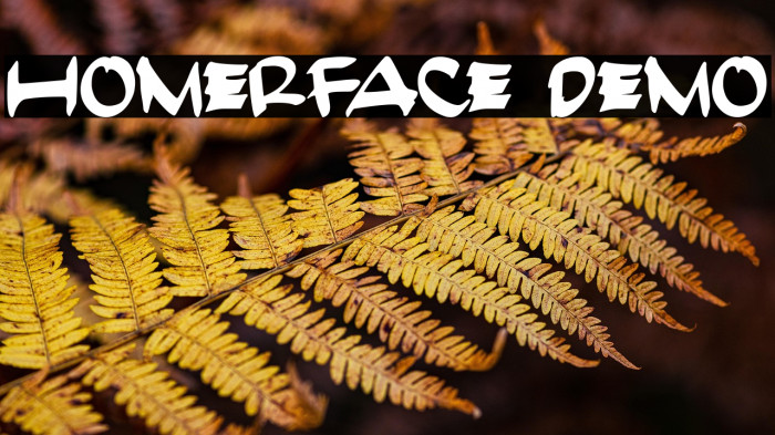 HomerFace Demo Example 2