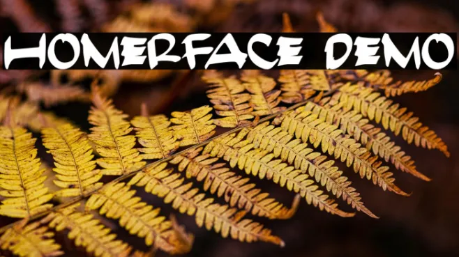 HomerFace Demo Example 2