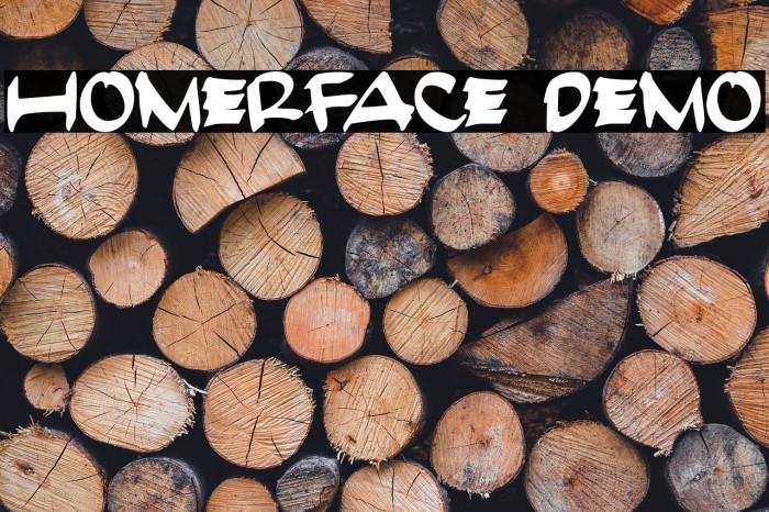 HomerFace Demo Example 3