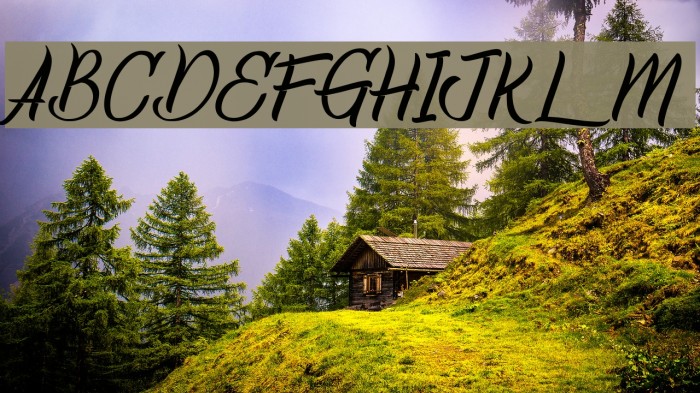 HomerunRegular Example 1