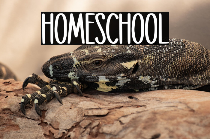 Homeschool Example 1