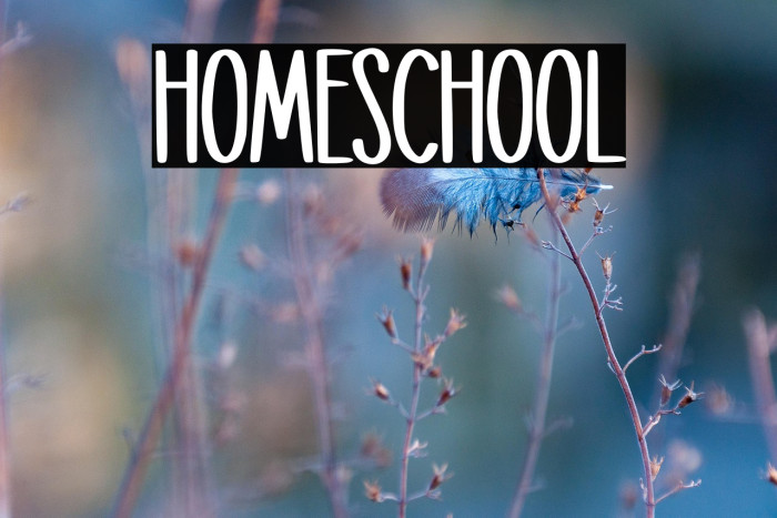 Homeschool Example 3