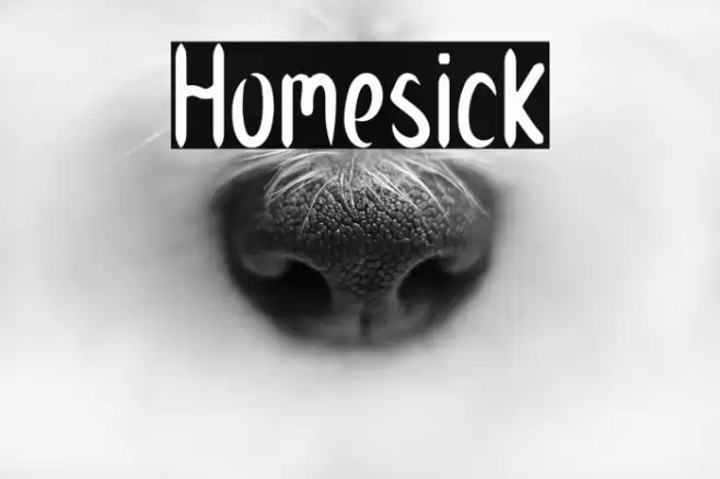 Homesick Font examples