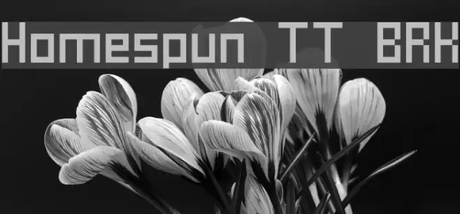Homespun TT BRK Font examples
