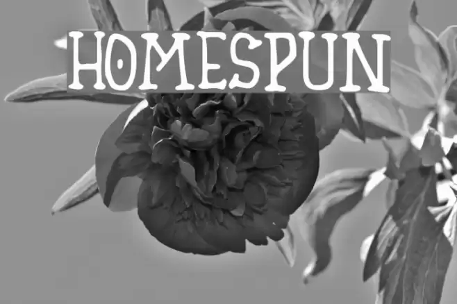 Homespun Font examples