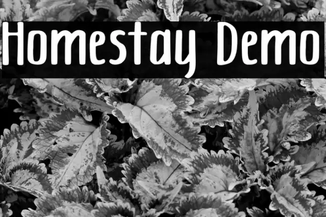 Homestay Demo Font examples
