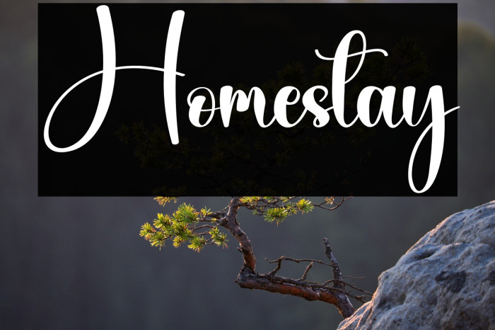 Homestay Example 2