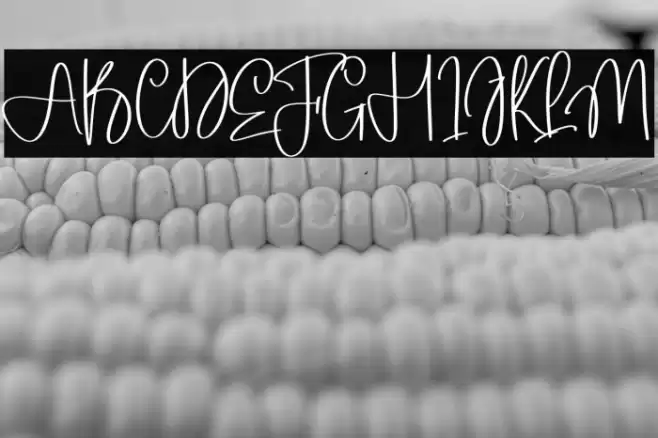 Homestead Caratteri examples