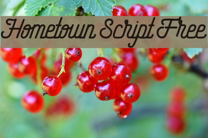 Hometown Script Free Font examples