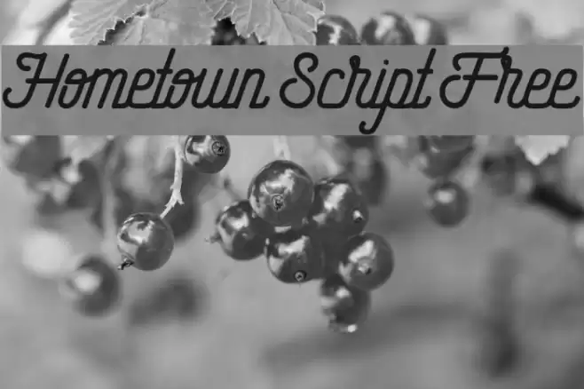 Hometown Script Free Font examples
