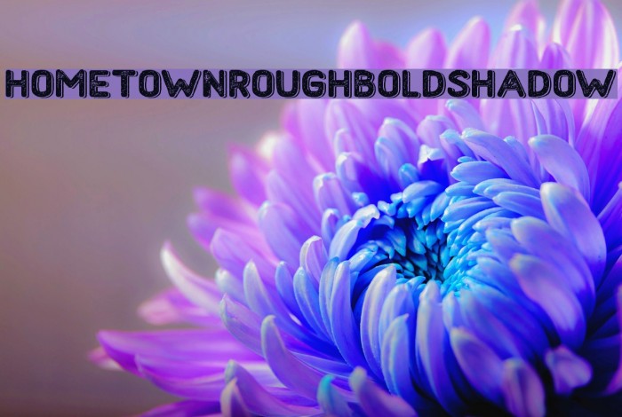 HometownRoughBoldShadow Font examples