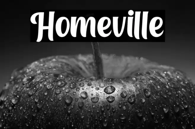 Homeville Font examples