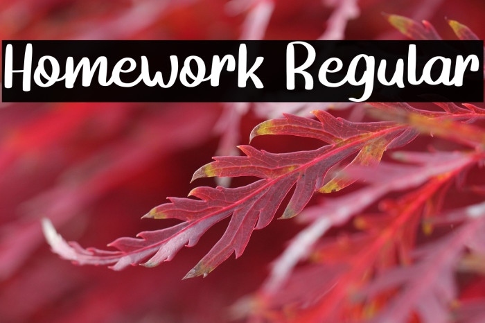 Homework Regular Example 1