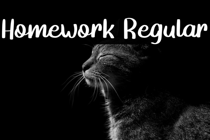 Homework Regular Example 2