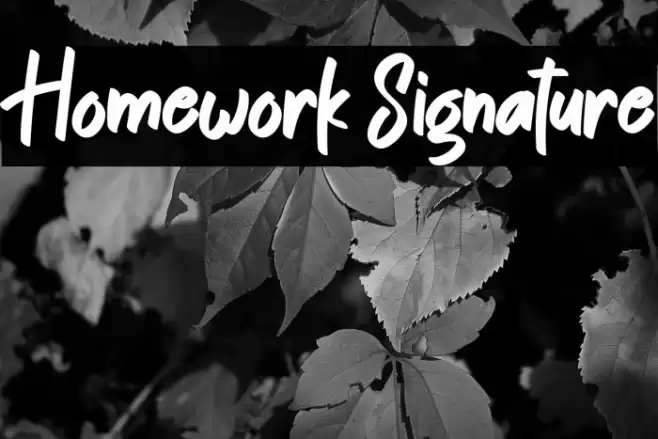 Homework Signature Schriftart examples