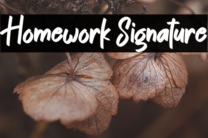 Homework Signature Example 3