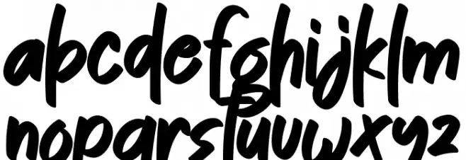 Homework Signature 字体 小写