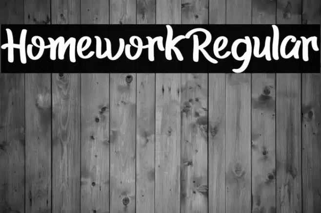 HomeworkRegular Font examples