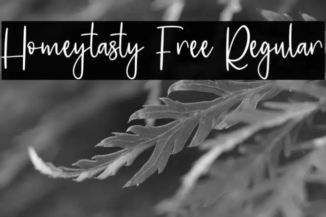 Homeytasty Free Regular Font examples