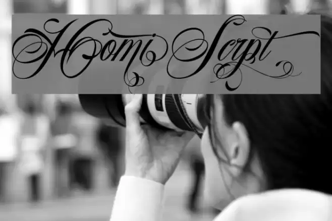 HomiScrpt Font examples