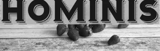 Hominis Fuentes examples