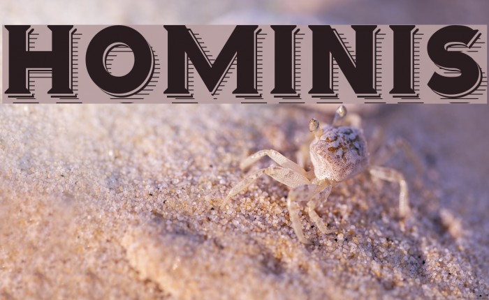 Hominis Fuentes examples