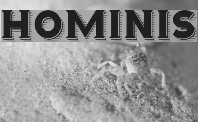 Hominis Fuentes examples