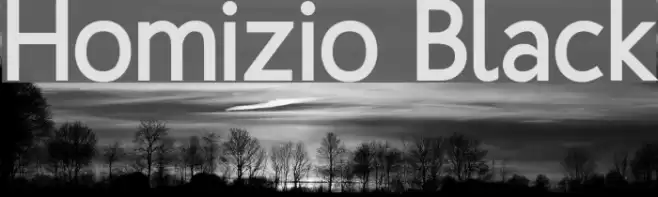 Homizio Black Font examples