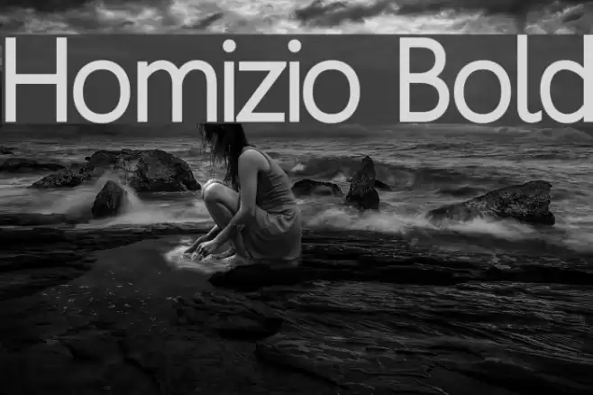 Homizio Bold Font examples