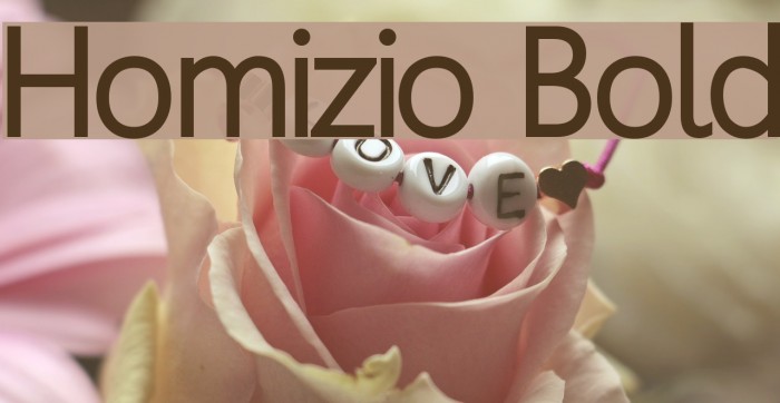 Homizio Bold Font examples