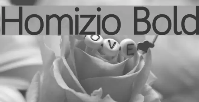 Homizio Bold Font examples