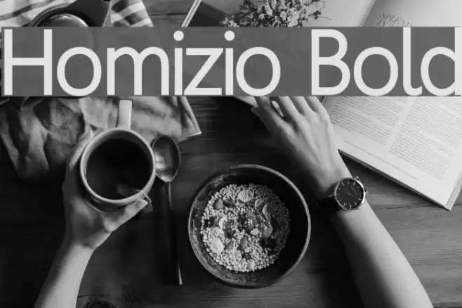 Homizio Bold Font examples